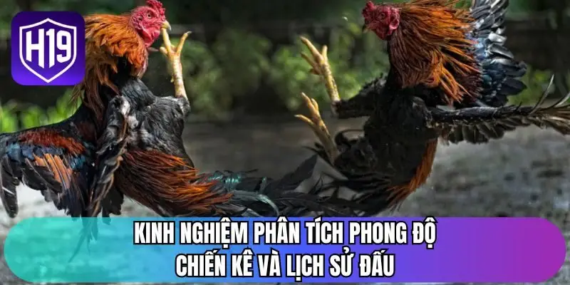 Kinh nghiệm phân tích phong độ chiến kê và lịch sử đấu