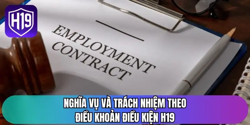 Nghĩa vụ và trách nhiệm theo điều khoản điều kiện H19